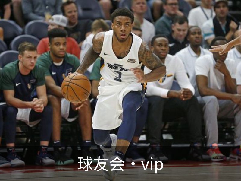 球友会·vip介绍